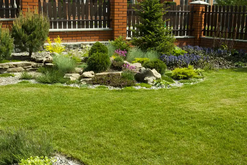 Backyard rock garden landscaping with decorative shrubs and fence.