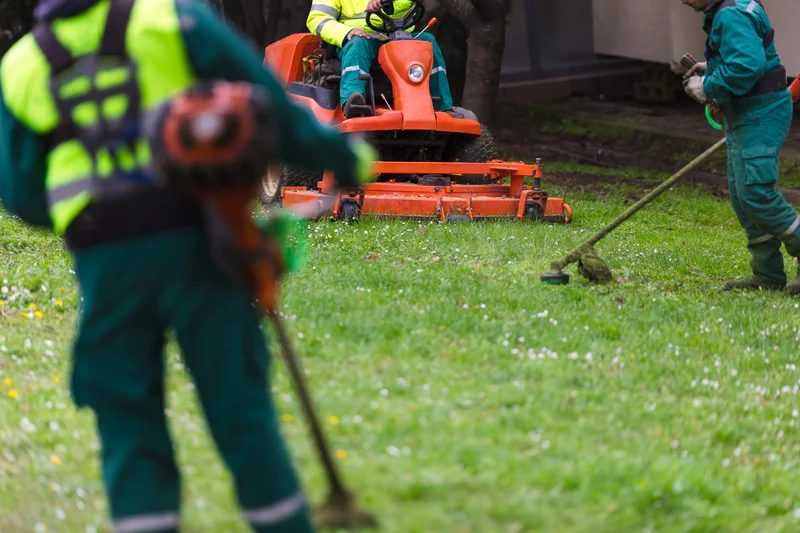 Landscaping crew using lawnmowers and weed eaters on a green lawn.
